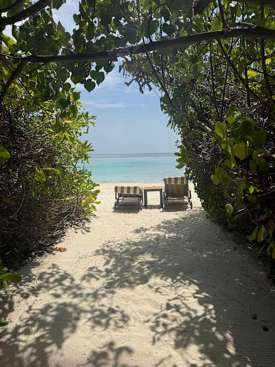 Gartenanlage Cocoon Maldives