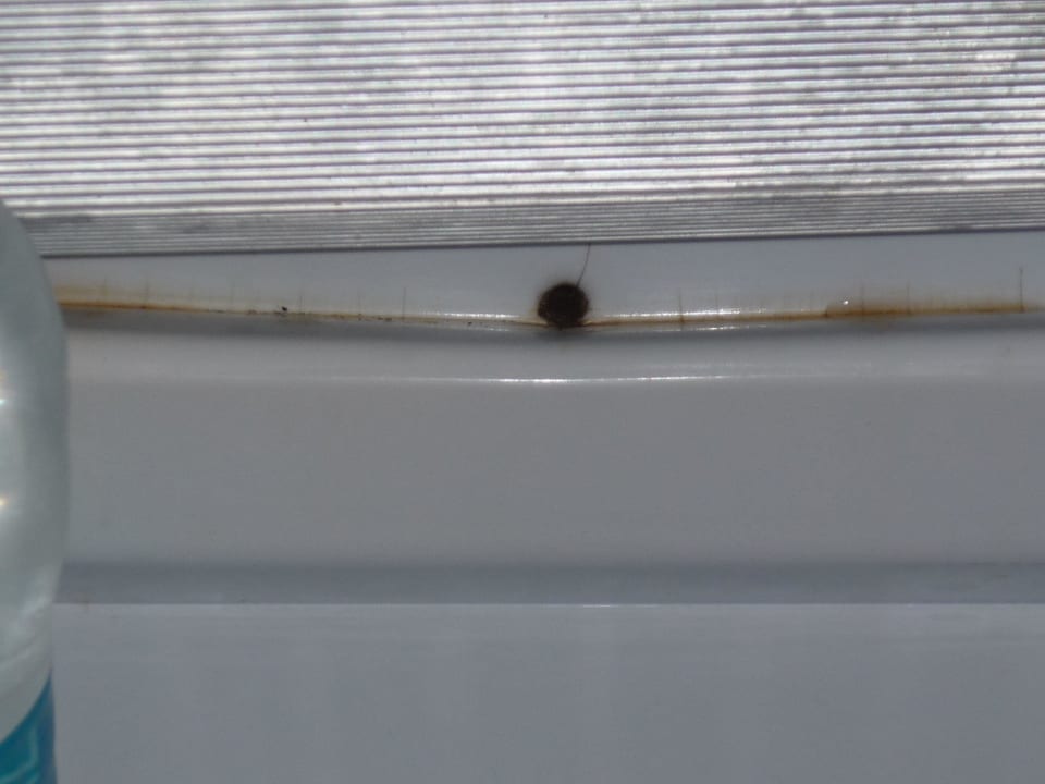 Kühhschrank innen AQI Pegasos World