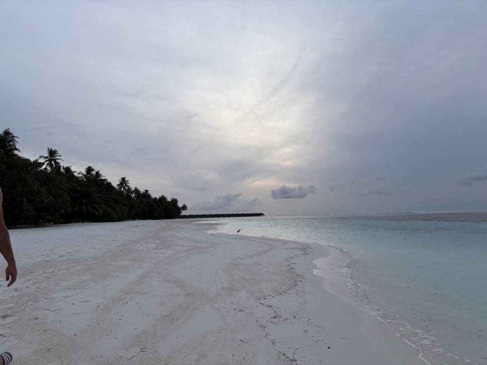 Strand Meeru Maldives Resort Island