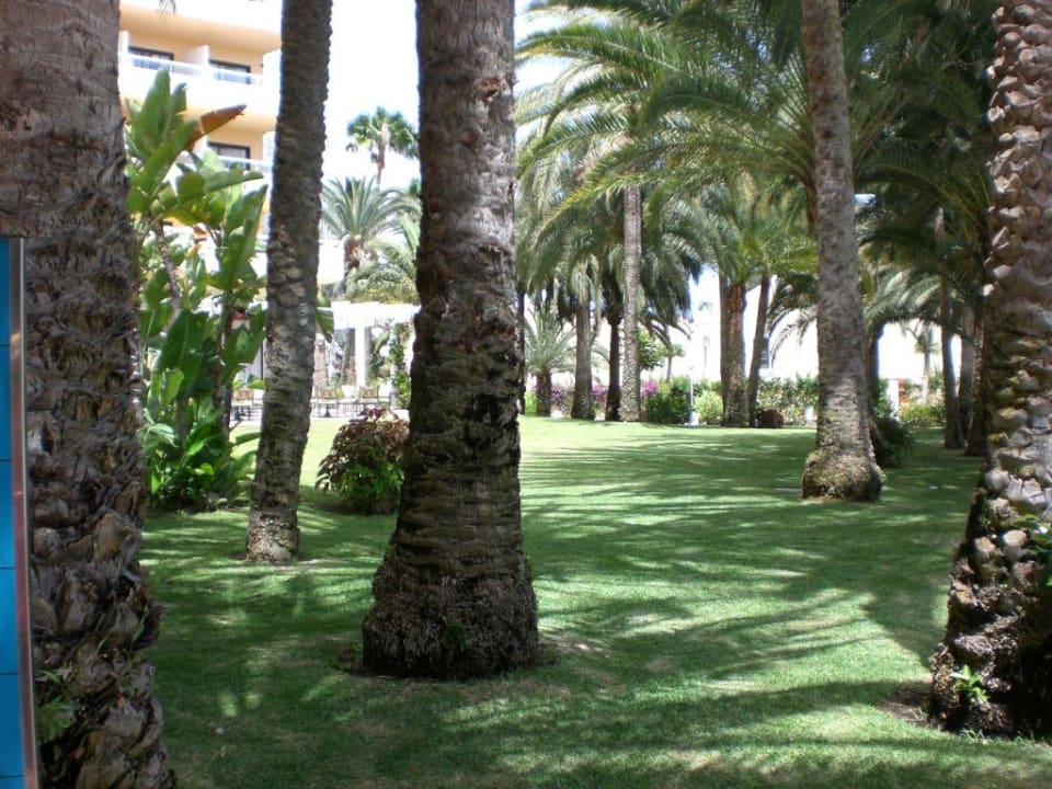 Teil der Gartenanlage Hotel Riu Palace Palmeras