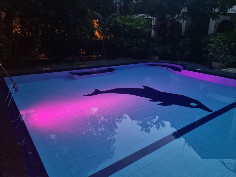 Pool Hotel Bentota Village