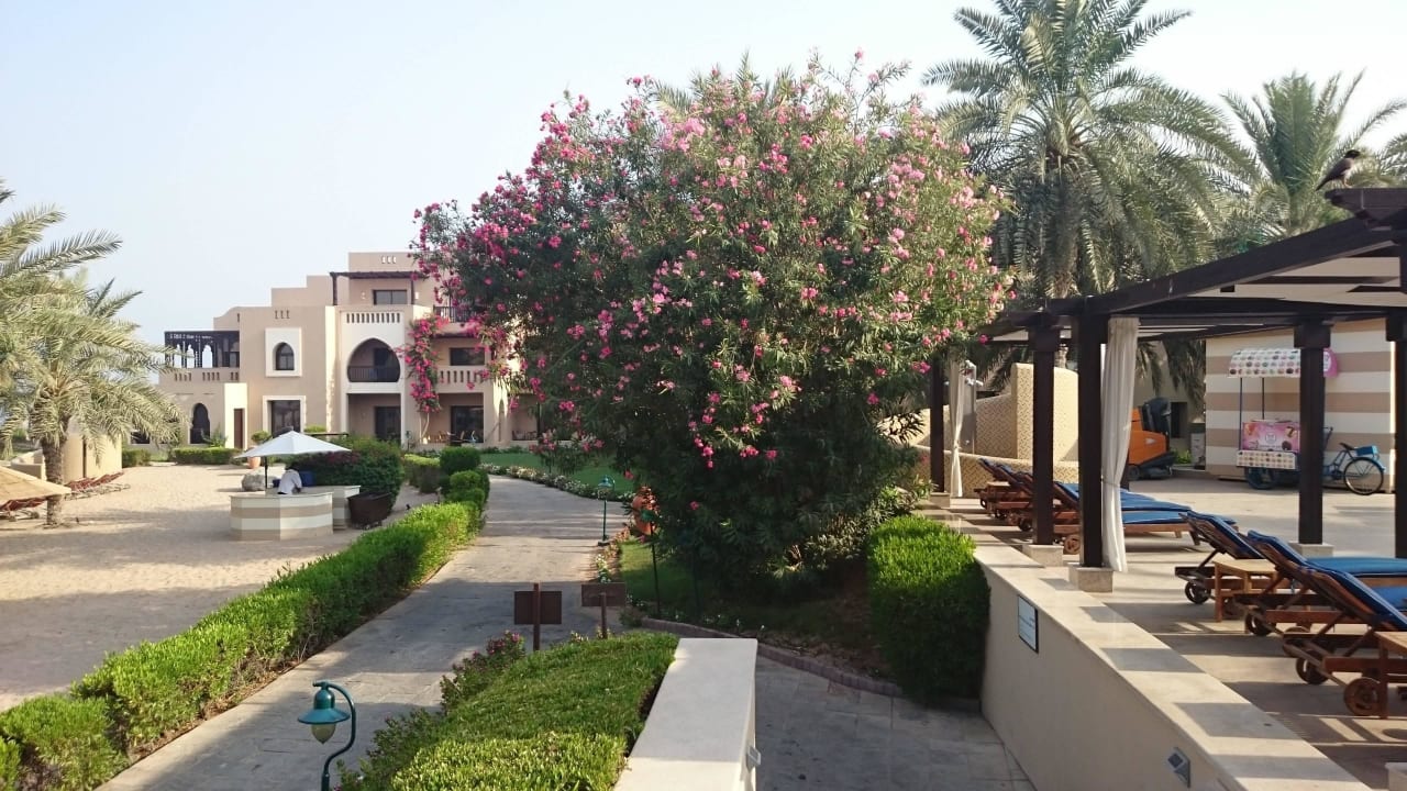 Hotel Iberotel Miramar Al Aqah Beach Resort Miramar Al Aqah Beach Resort