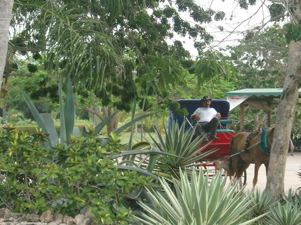Kutsche Sol Rio De Luna y Mares