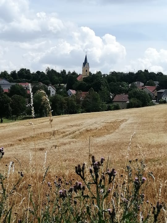 Ausblick Schedlhof