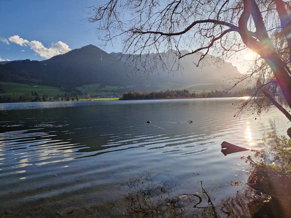 Ausblick Hotel Bellevue am See