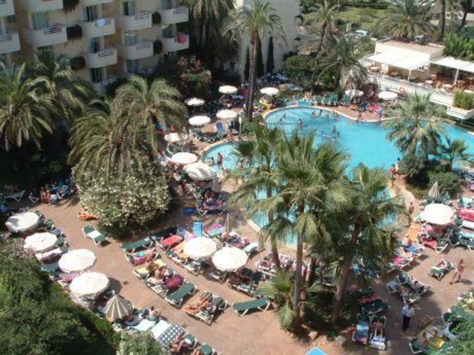 Pool Protur Palmeras Playa Aparthotel