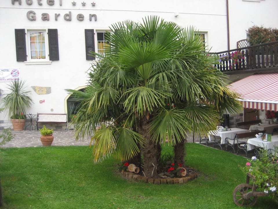 Palmen Good Life Hotel Garden