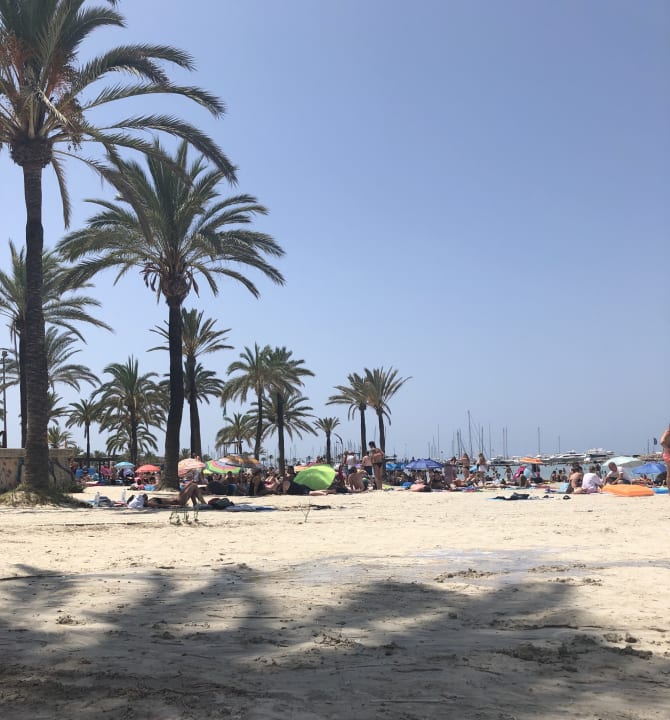 Strand MLL Palma Bay Club Resort