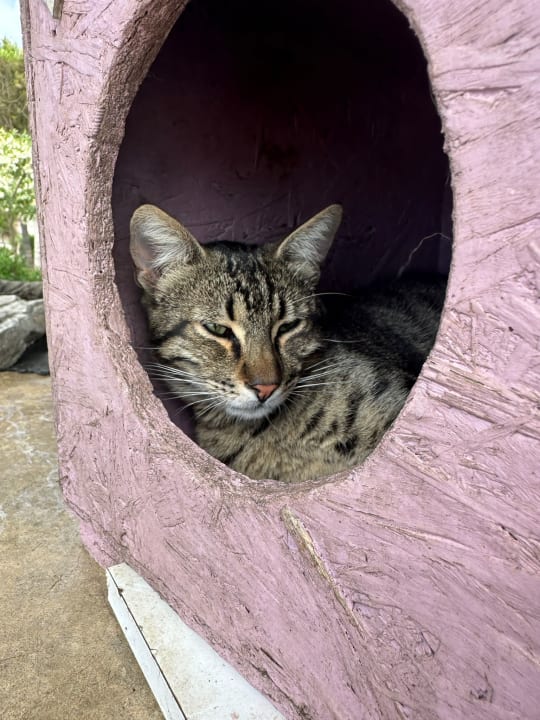 Sonstiges Adalya Resort & Spa - Adults Only