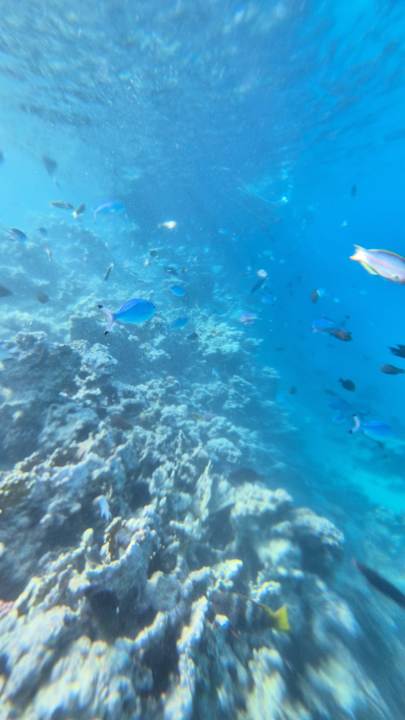 Strand Stella Beach Resort & Spa Makadi Bay