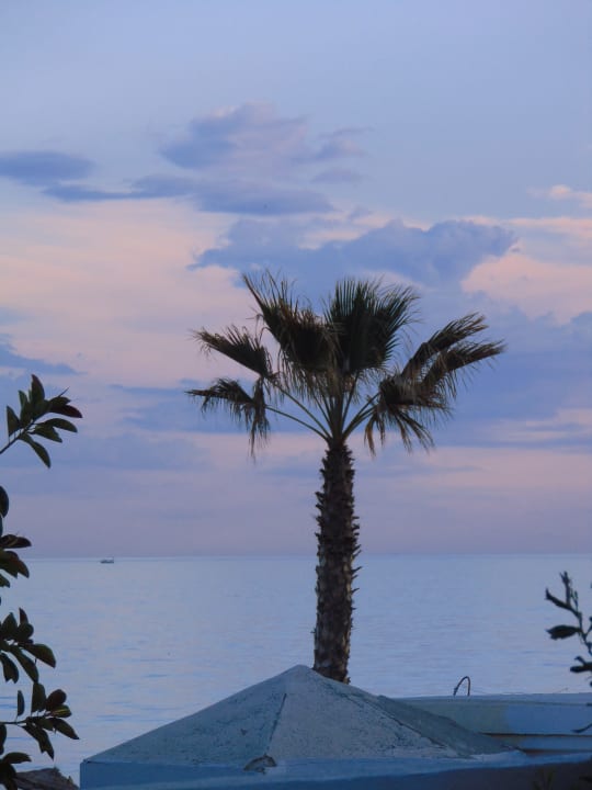 Ausblick Sousse Pearl Marriott Resort & Spa