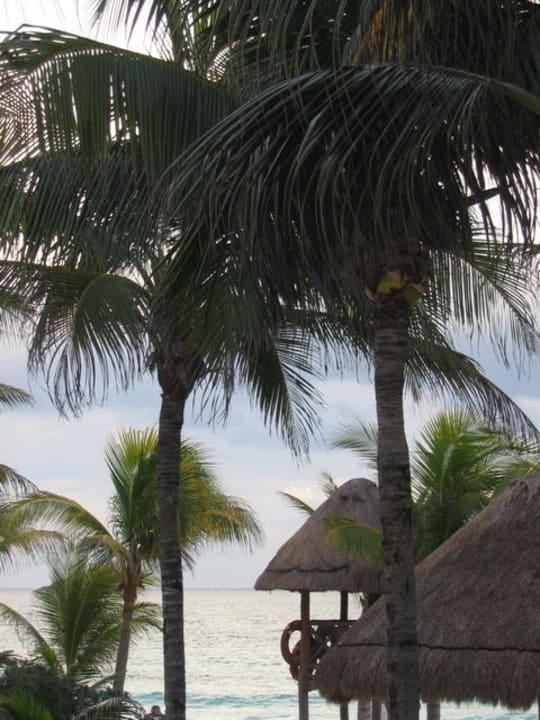 Ausblick Catalonia Royal Tulum Beach & Spa Resort - Adults only