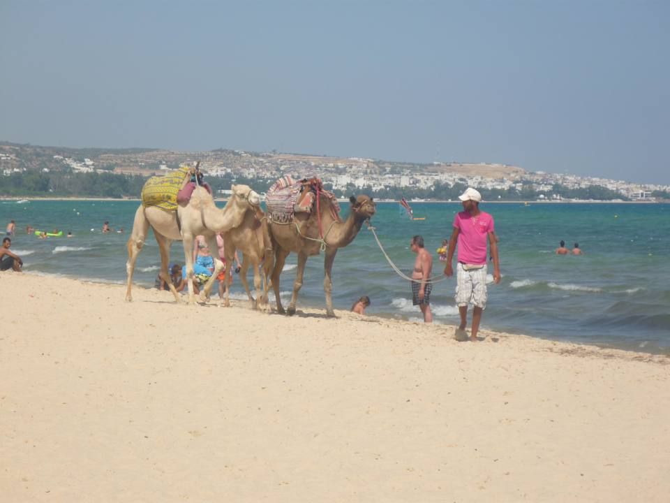 Activité sur la plage Hotel Paradis Palace
