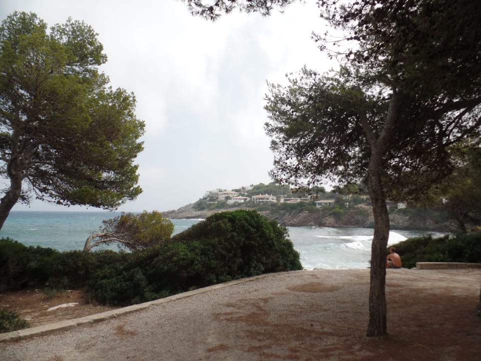 Ausblick Iberostar Waves Pinos Park