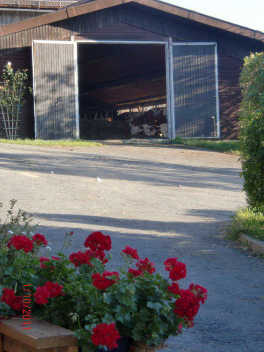 Blick von der Terrasse zum Kuhstall Familienferienhof Kroner