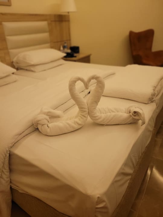 Zimmer Beach Albatros Resort
