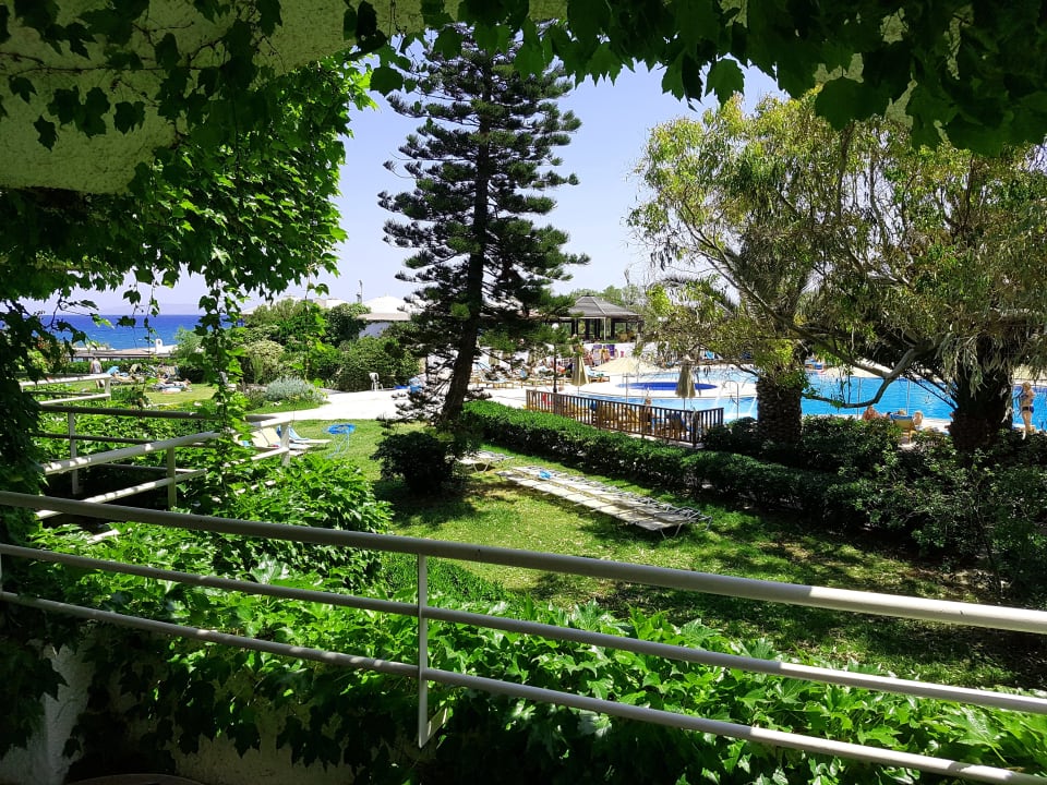 Zimmer Apollonia Beach Resort & Spa