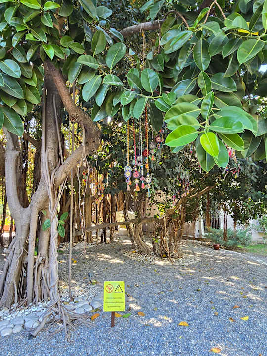 Sonstiges TUI Magic Life Belek