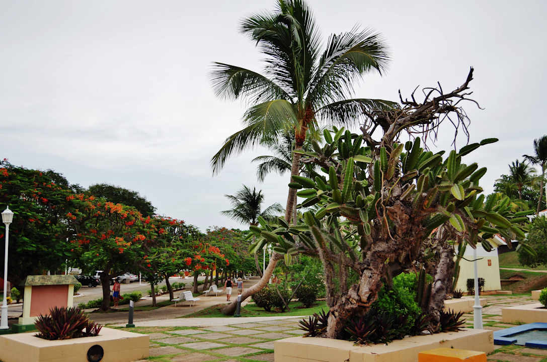 Gepflegt Sol Palmeras