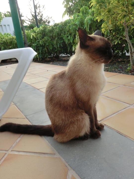 Netter Besuch Bungalows Cordial Sandy Golf