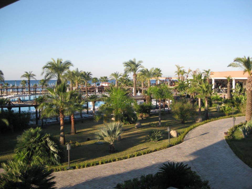Blick auf Pool TUI BLUE Palm Garden