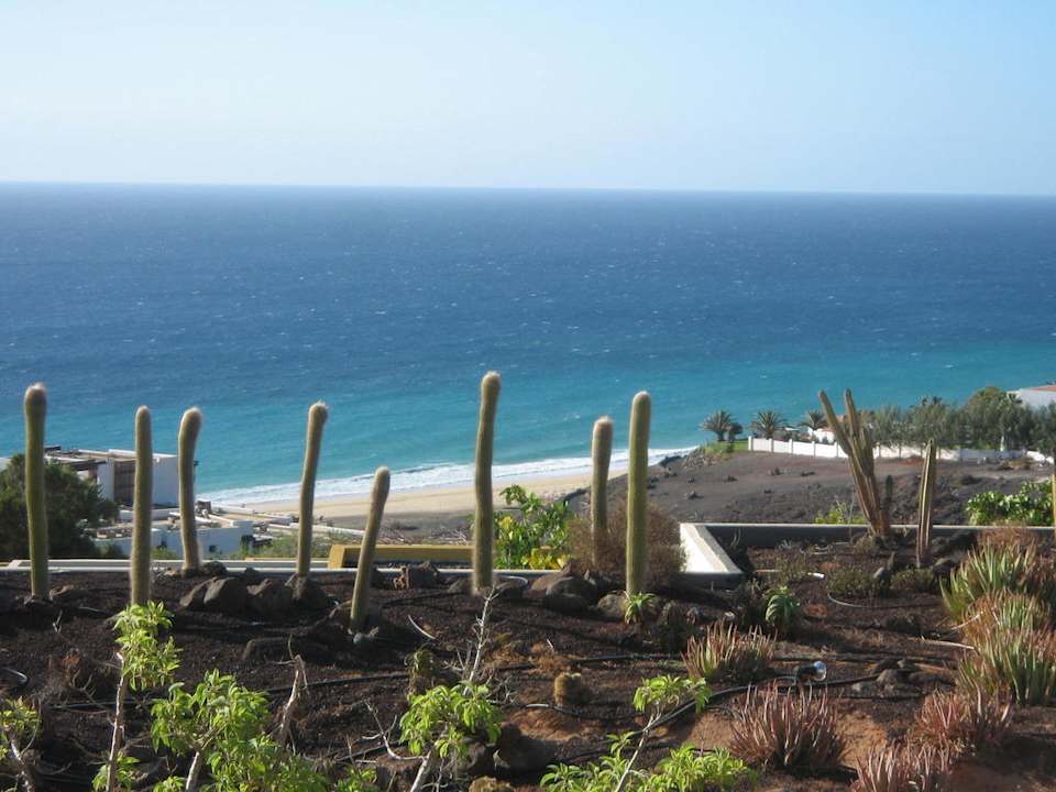 Blick vom Pool AluaVillage Fuerteventura