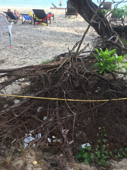 Strand Hotel Coral Island Resort