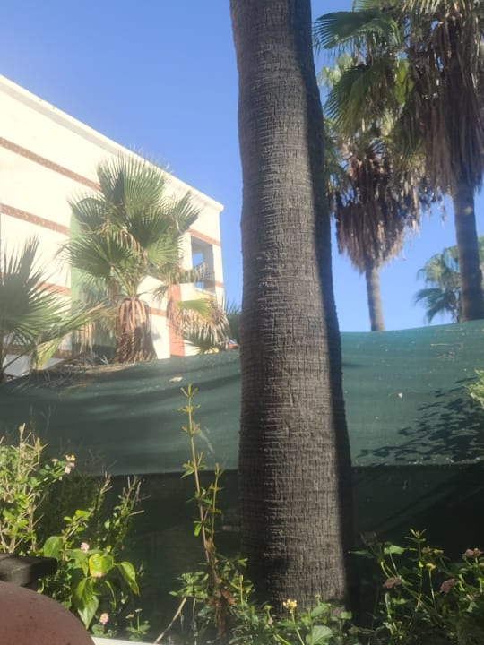 Außenansicht Green Paradise Beach Hotel