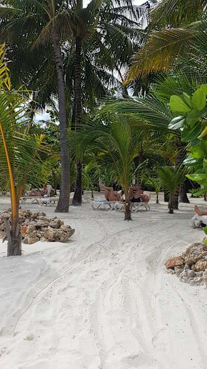 Strand Hotel Riu Jambo