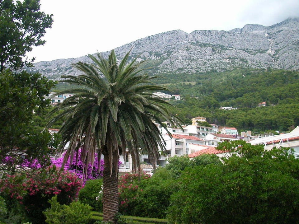 Hinter dem Hotel sind hohe Berge Bluesun Hotel Soline