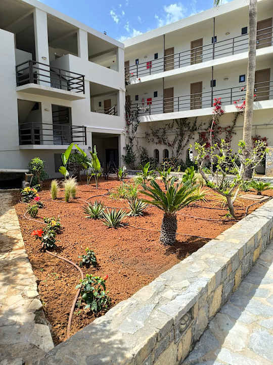 Gartenanlage allsun Hotel Malia Beach