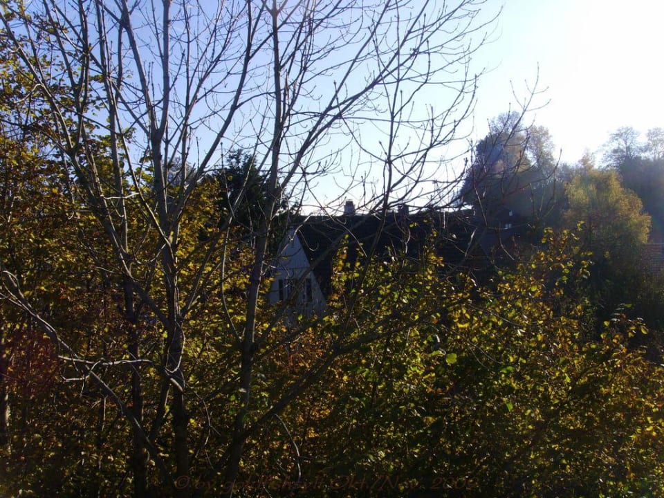 Ausblick vom Balkon Landhotel Allgäuer Hof