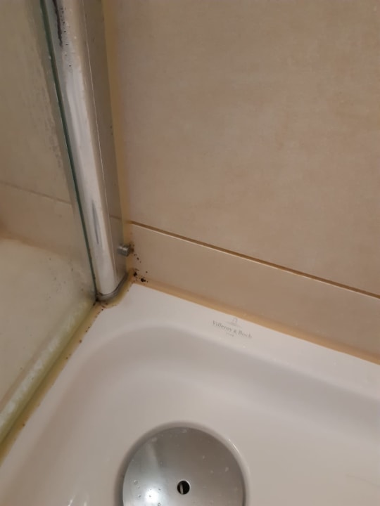 Zimmer Center Parcs Park Bostalsee