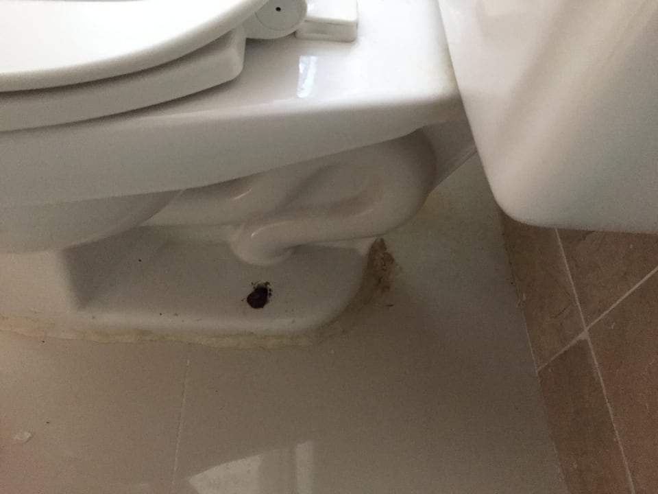 Zimmer Villas Bavaro Resort & Spa