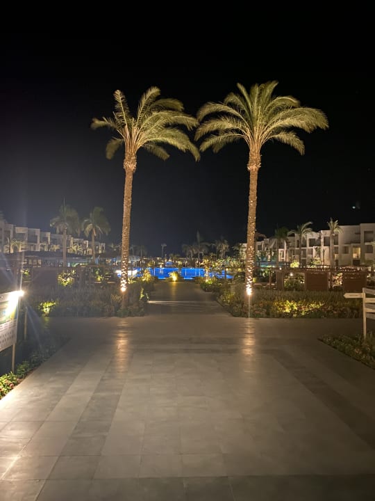 Pool Steigenberger Resort Ras Soma