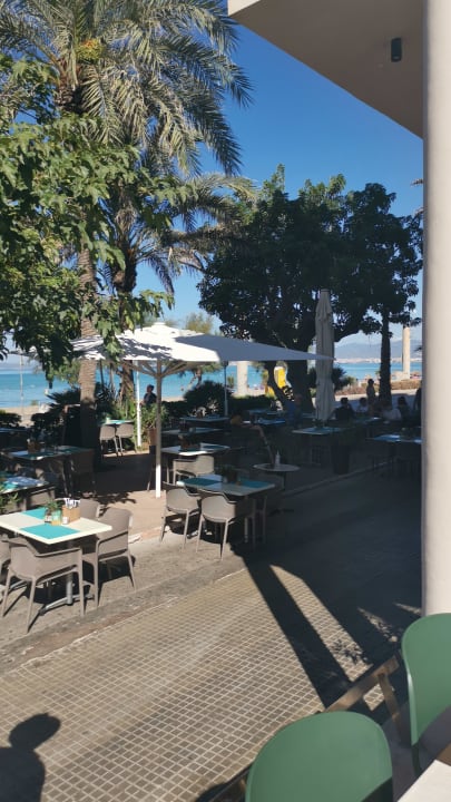 Gartenanlage allsun Hotel Marena Beach