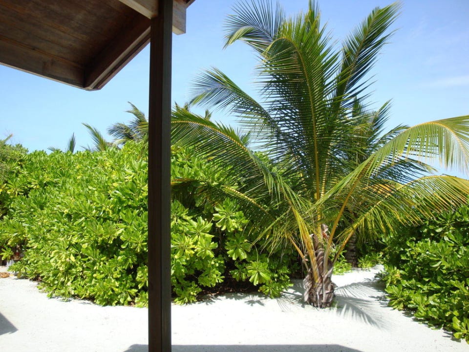 Vor der 110er Meeru Maldives Resort Island
