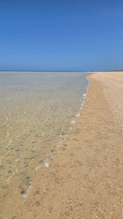 Strand JAZ Elite Asteria