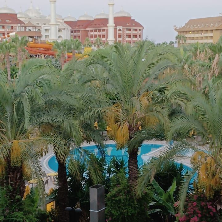 Pool Calimera Hane Garden