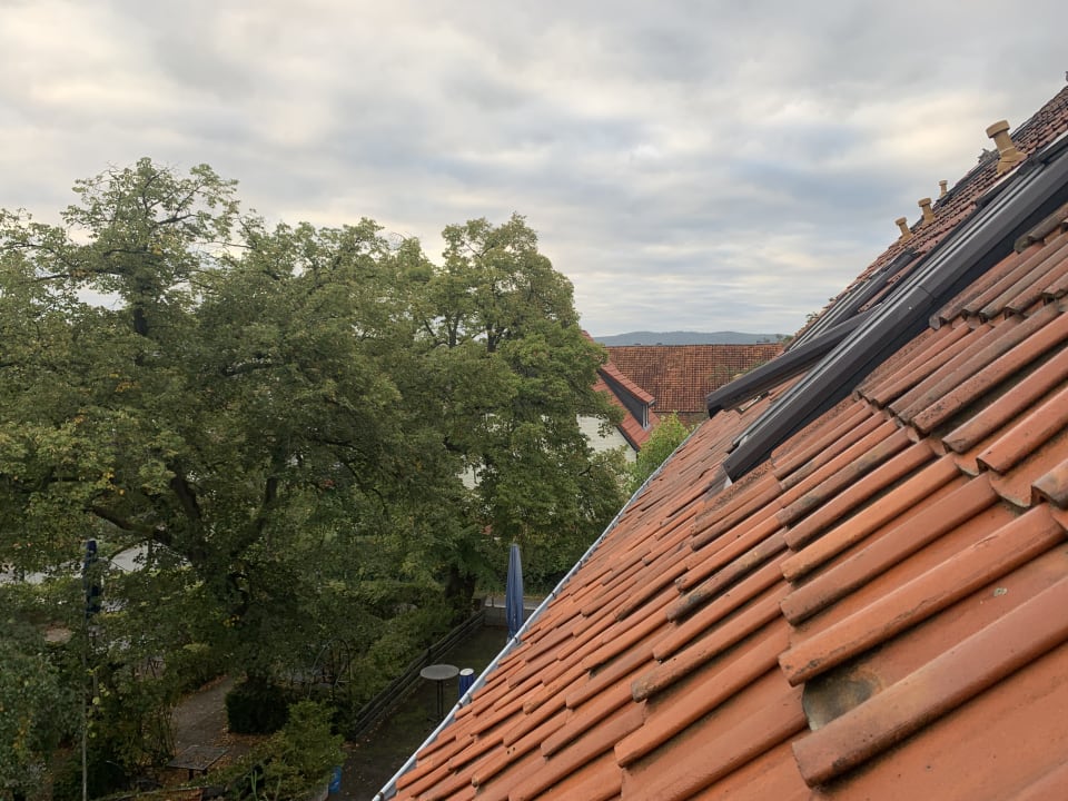Ausblick Landhotel Lechstedter Obstweinschänke