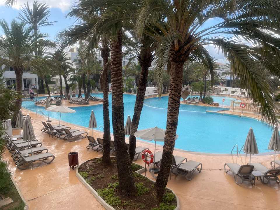 Pool Calimera Fido Gardens