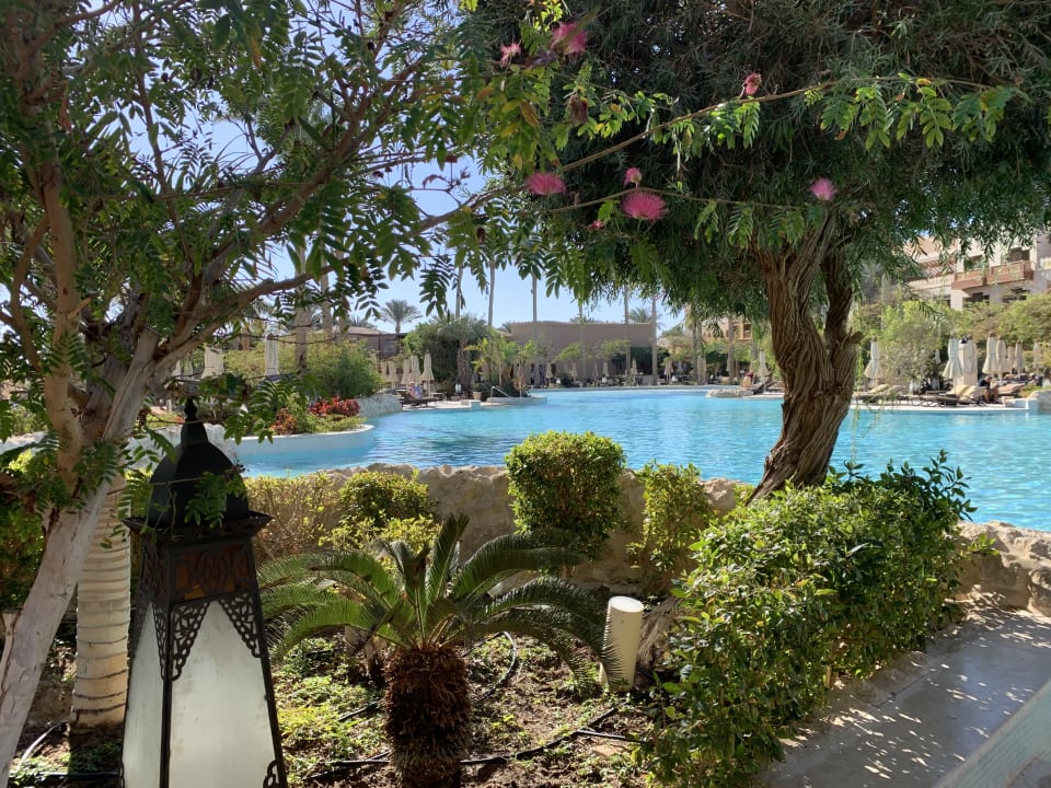 Pool Makadi Spa - Adults only