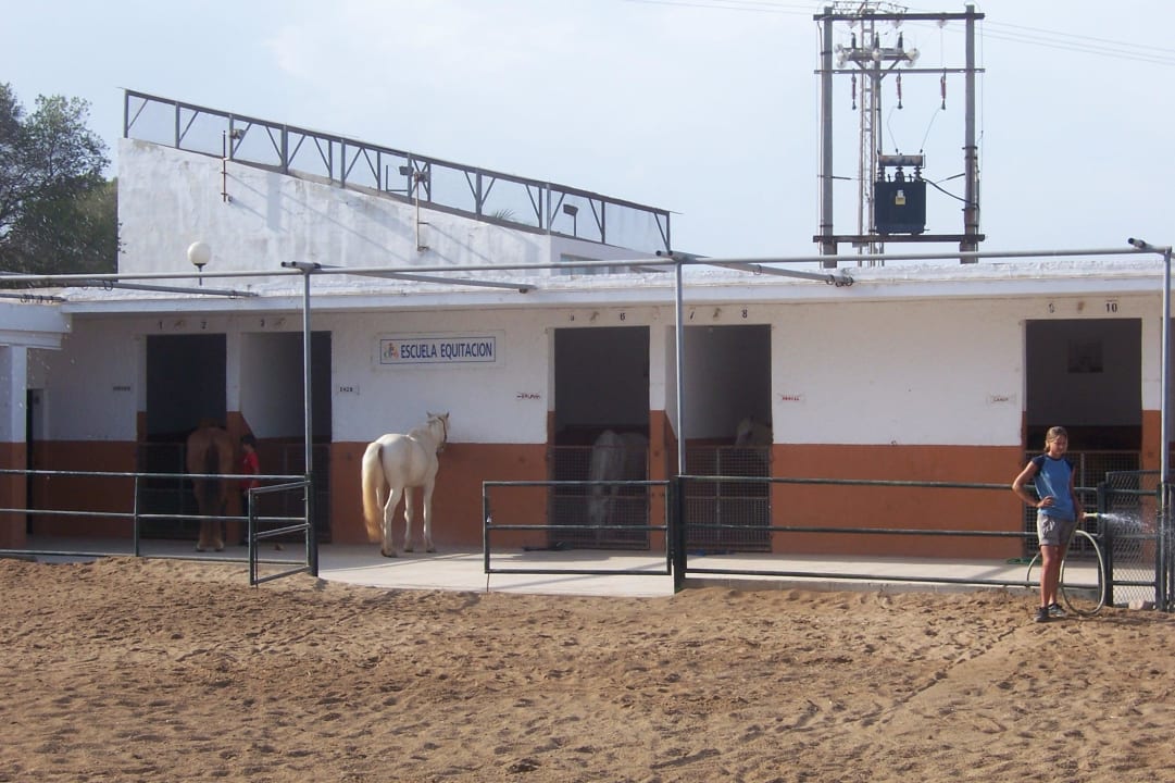 Ponyhof Sun Club Eldorado