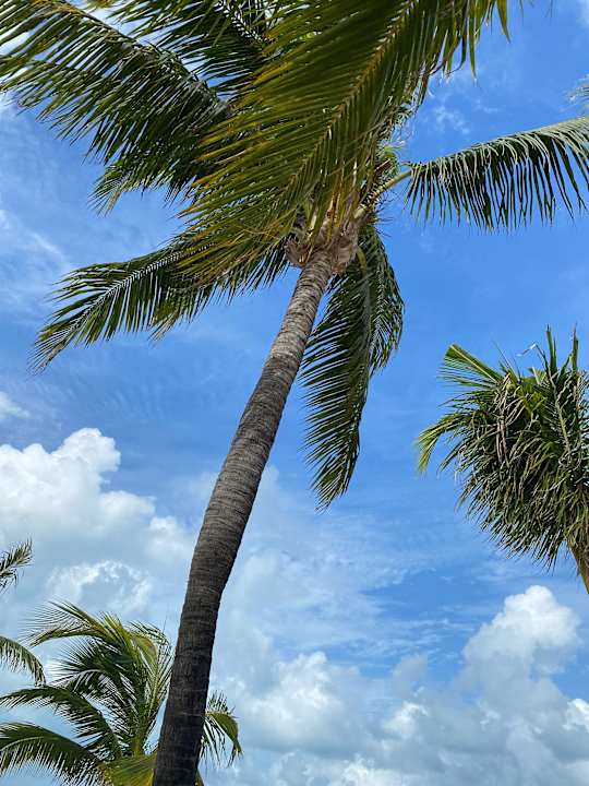 Strand Hotel Riu Caribe