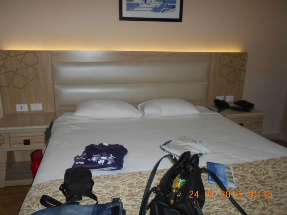 Zimmer Beach Albatros Resort