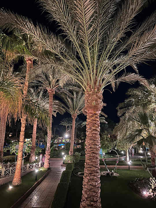 Gartenanlage Golden Beach Resort