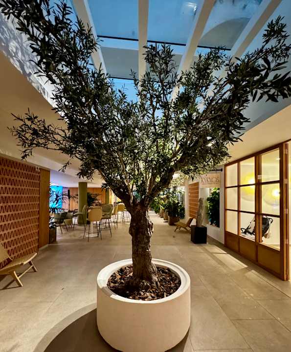 Außenansicht Iberostar Selection Albufera Park