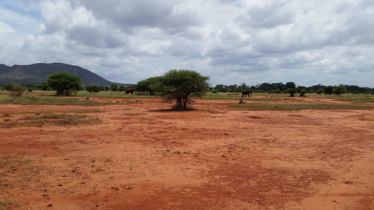 Hotel Ngutuni Safari Lodge Game Sanctuary Ngutuni Safari Lodge