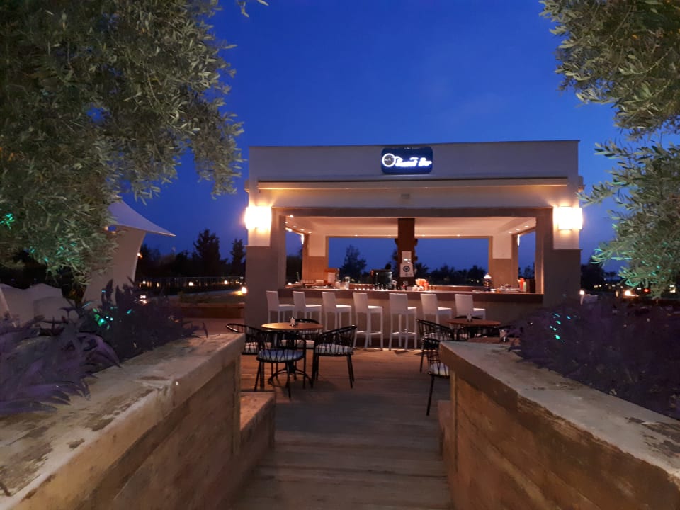 Gastro Sentido Trendy Verbena Beach