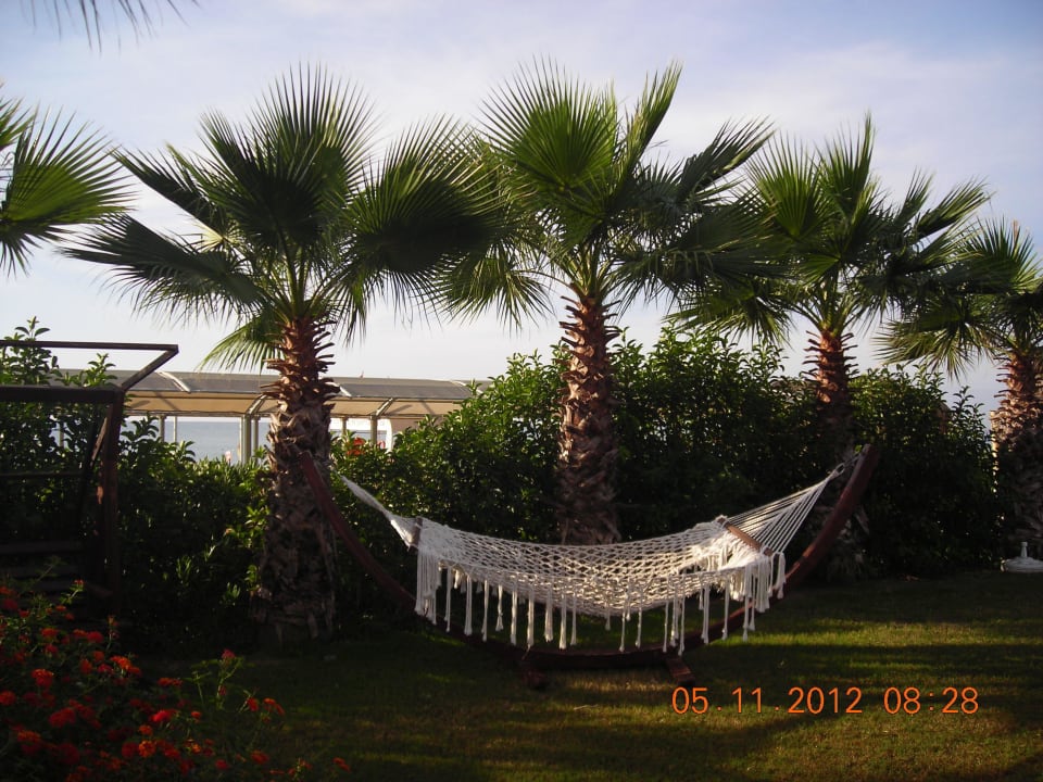 Relax ! Saturn Palace Resort Hotel